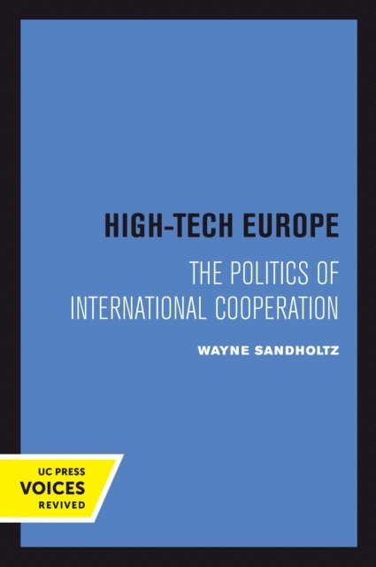 Wayne Sandholtz - High-Tech Europe, E-bok