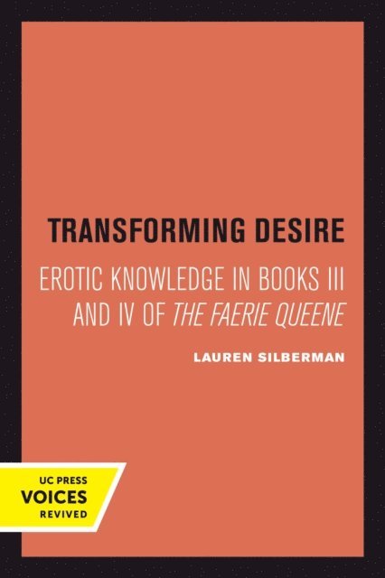 Lauren Silberman - Transforming Desire, E-bok