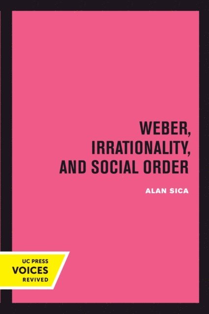 Alan Sica - Weber, Irrationality, and Social Order, E-bok