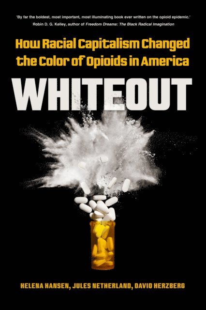 David Herzberg, Jules Netherland, Helena Hansen - Whiteout, E-bok