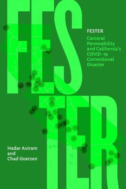 Hadar Aviram - Fester, E-bok