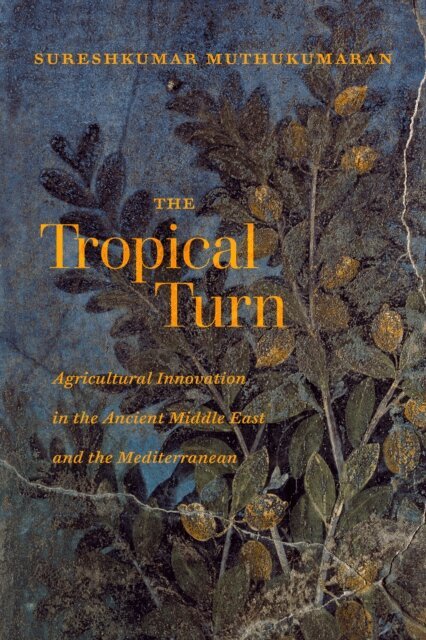 Sureshkumar Muthukumaran - Tropical Turn, E-bok