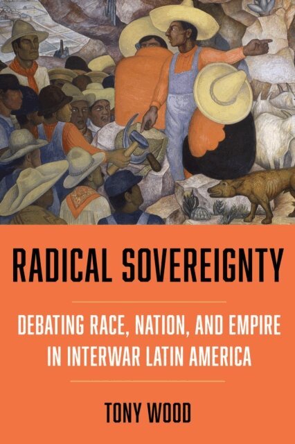 Tony Wood - Radical Sovereignty, E-bok