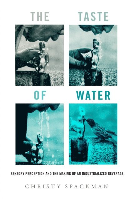 Christy Spackman - Taste of Water, E-bok