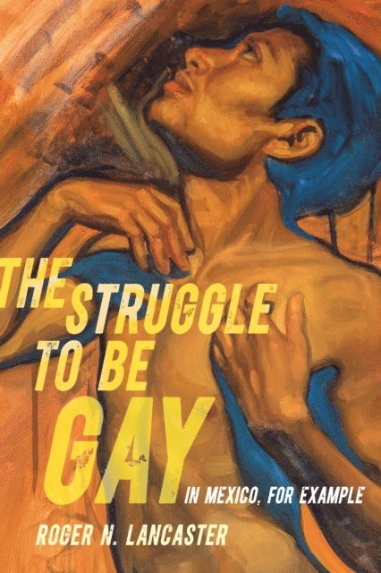 Roger N. Lancaster - Struggle to Be Gay-in Mexico, for Example, E-bok