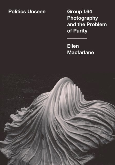 Ellen Macfarlane - Politics Unseen, E-bok