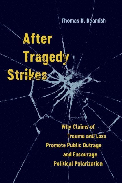 Thomas D. Beamish - After Tragedy Strikes, E-bok