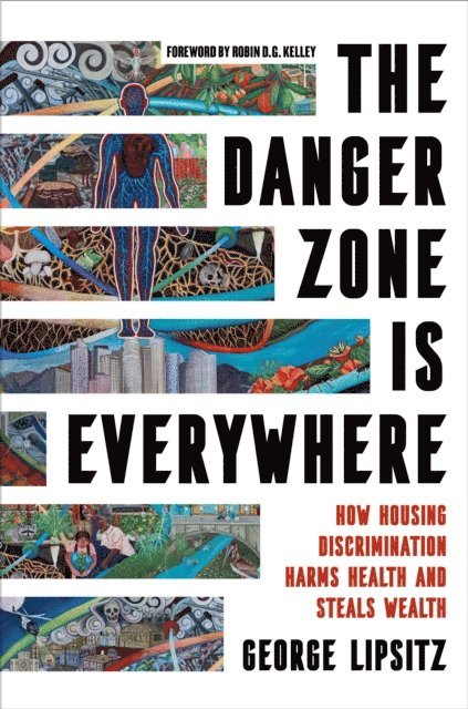 George Lipsitz - Danger Zone Is Everywhere, E-bok