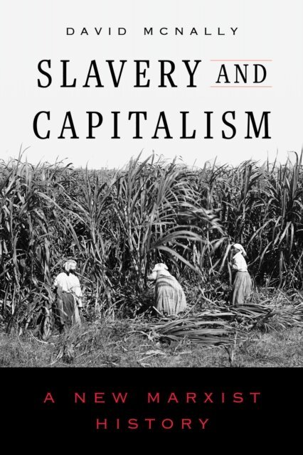David McNally - Slavery and Capitalism, E-bok