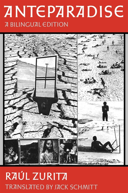 Raul Zurita - Anteparadise, A Bilingual edition, E-bok
