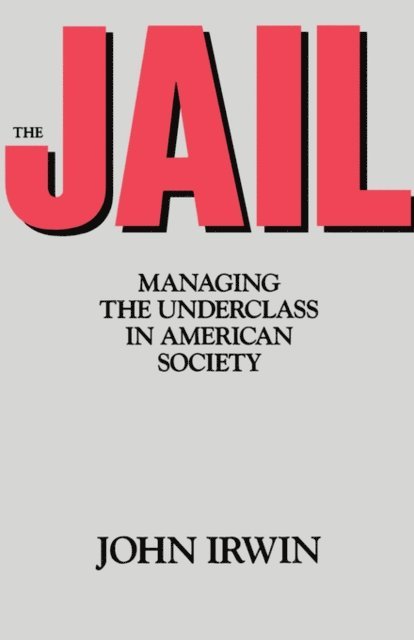 John Irwin - Jail, E-bok