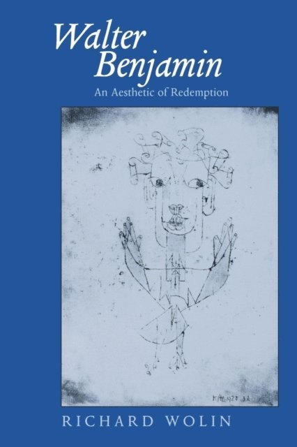 Richard Wolin - Walter Benjamin, E-bok
