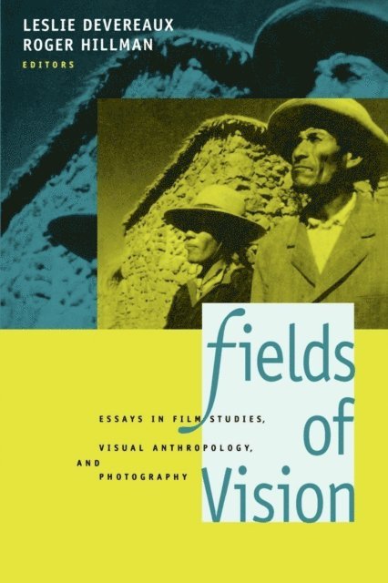 Roger Hillman, Leslie Devereaux - Fields of Vision, E-bok