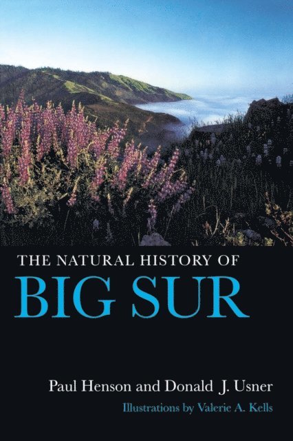 Donald J. Usner, Paul Henson - Natural History of Big Sur, E-bok
