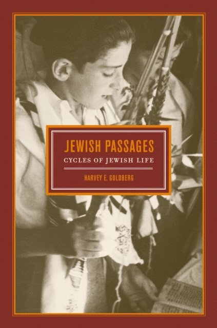 Harvey E. Goldberg - Jewish Passages, E-bok