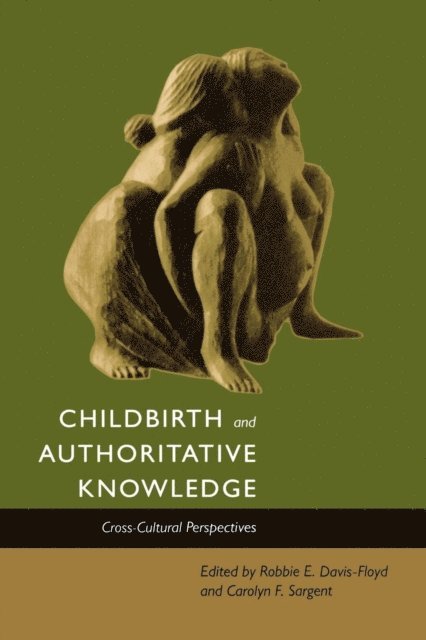 Carolyn Fishel Sargent, Robbie E. Davis-Floyd - Childbirth and Authoritative Knowledge, E-bok