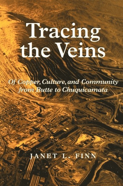 Janet L. Finn - Tracing the Veins, E-bok
