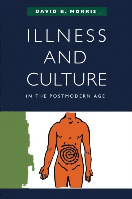 David B. Morris - Illness and Culture in the Postmodern Age, E-bok