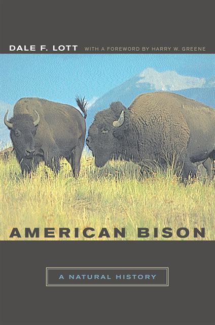 Dale F. Lott - American Bison, E-bok