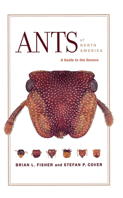 Stefan P. Cover Ph. D., Brian L. Fisher - Ants of North America, E-bok