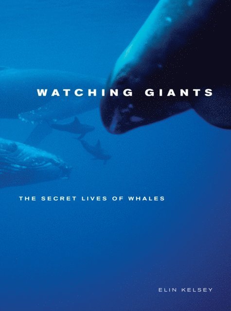 Elin Kelsey - Watching Giants, E-bok