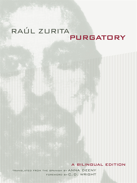 Raul Zurita - Purgatory, E-bok