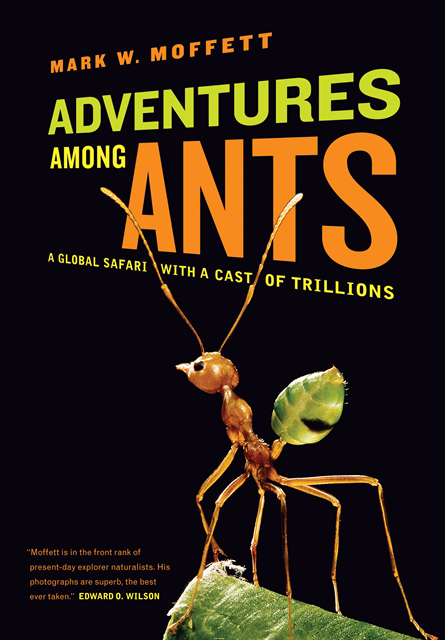 Mark W. Moffett - Adventures among Ants, E-bok