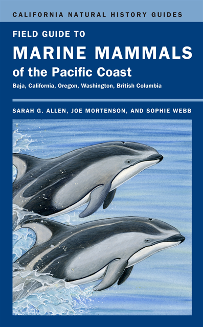 Sophie Webb, Joe Mortenson, Sarah G. Allen - Field Guide to Marine Mammals of the Pacific Coast, E-bok