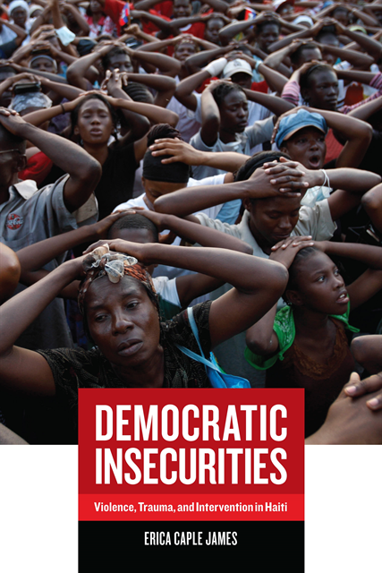 Erica Caple James - Democratic Insecurities, E-bok