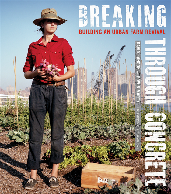 Edwin Marty, David Hanson - Breaking Through Concrete, E-bok