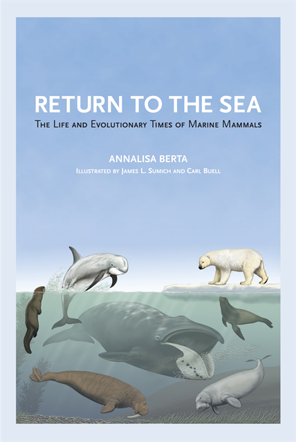 Annalisa Berta - Return to the Sea, E-bok