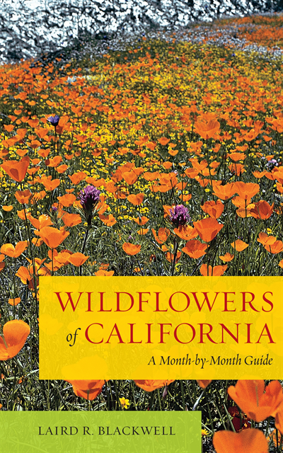 Laird Blackwell - Wildflowers of California, E-bok