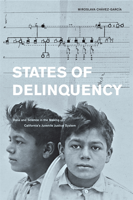 Miroslava Chavez-Garcia - States of Delinquency, E-bok