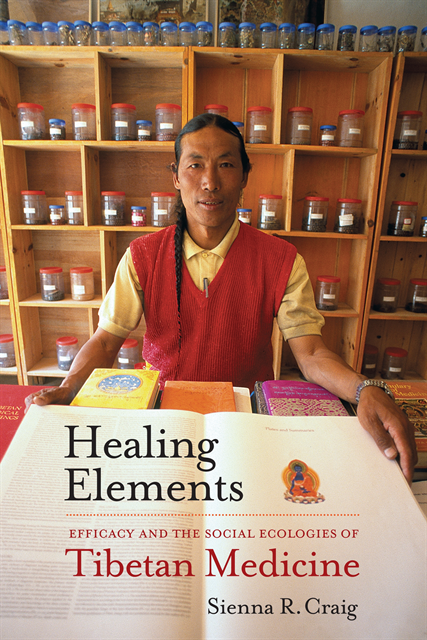 Sienna R. Craig - Healing Elements, E-bok