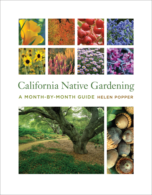 Helen Popper - California Native Gardening, E-bok