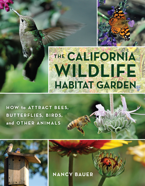 Nancy Bauer - California Wildlife Habitat Garden, E-bok