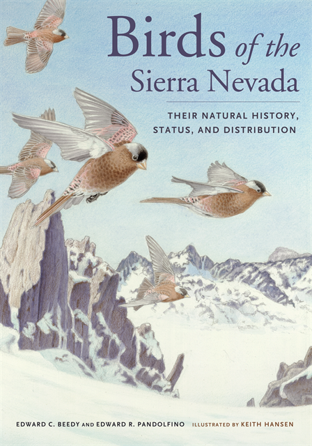 Ed Pandolfino, Ted Beedy - Birds of the Sierra Nevada, E-bok