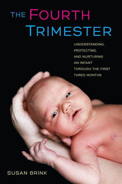 Susan Brink - Fourth Trimester, E-bok