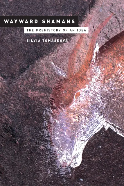 Silvia Tomaskova - Wayward Shamans, E-bok. Tillgänglighet: Lägg i varukorg