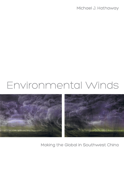 Michael J. Hathaway - Environmental Winds, E-bok