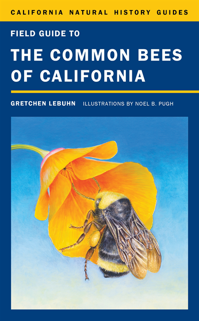 Gretchen LeBuhn - Field Guide to the Common Bees of California, E-bok