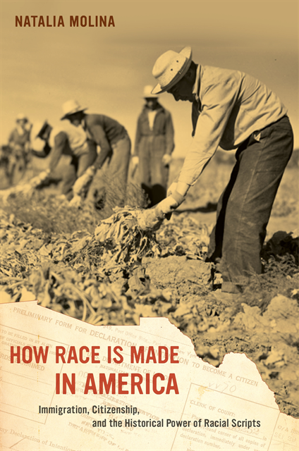 Natalia Molina - How Race Is Made in America, E-bok