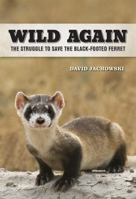 David S. Jachowski - Wild Again, E-bok