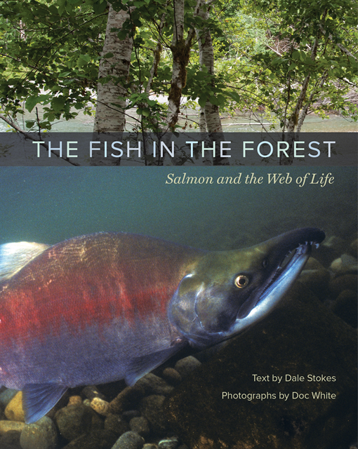 Dale Stokes - Fish in the Forest, E-bok