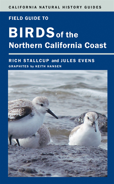 Jules Evens, Rich Stallcup - Field Guide to Birds of the Northern California Coast, E-bok