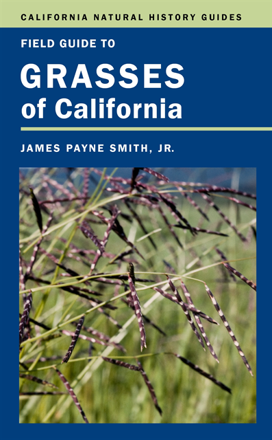 James P. Smith Jr. - Field Guide to Grasses of California, E-bok