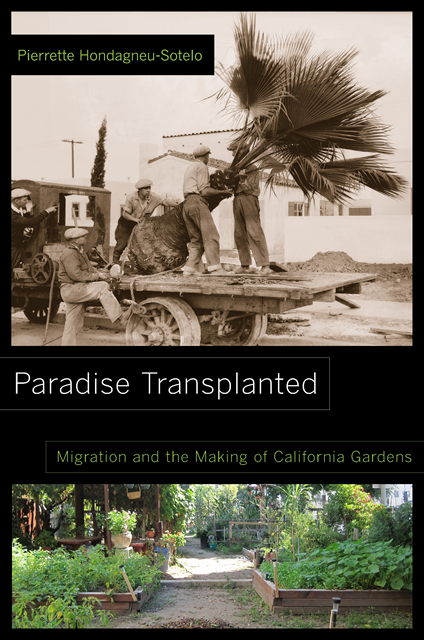 Pierrette Hondagneu-Sotelo - Paradise Transplanted, E-bok