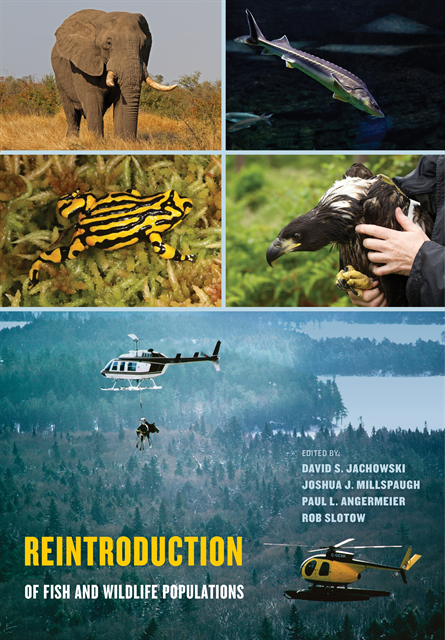 Rob Slotow, Paul L. Angermeier, Joshua J. Millspaugh, David S. Jachowski - Reintroduction of Fish and Wildlife Populations, E-bok