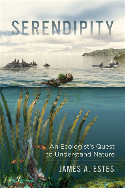James A. Estes - Serendipity, E-bok