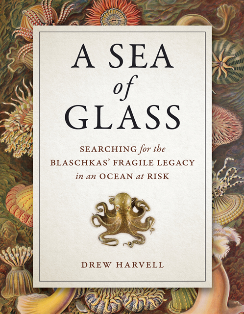 Drew Harvell - Sea of Glass, E-bok